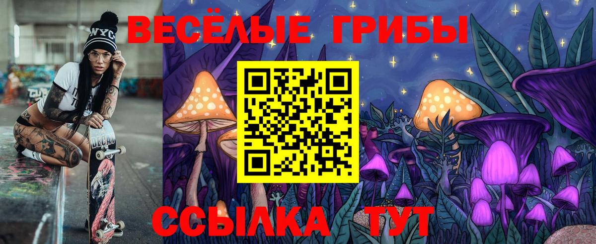 Протвино  Псилоцибиновые грибы Psilocybine cubensis  Вход с VPN 